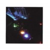 LED Underwater Spotlight Ⅱ LED Underwater Spotlight Ⅱ