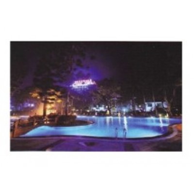 LED PAR56SS 18W